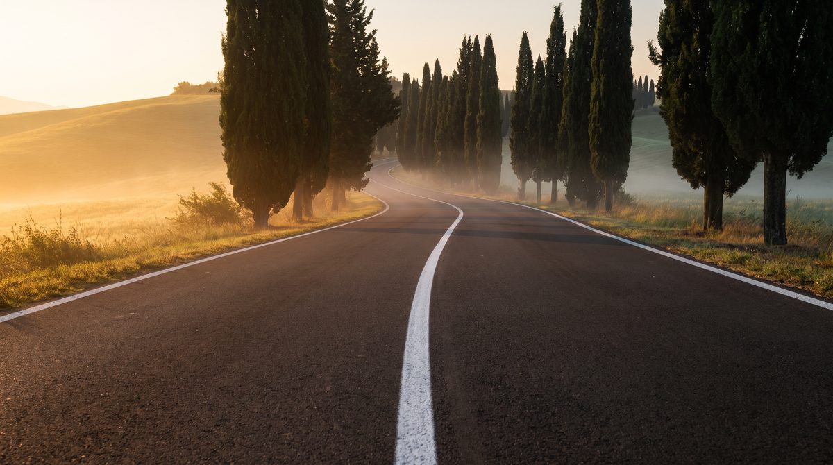 Una strada asfaltata serpeggia tra file di cipressi in una campagna nebbiosa e dorata all'alba.