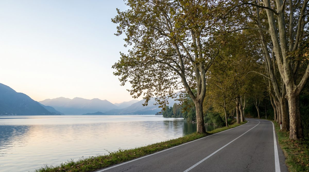Una strada costeggia un lago tranquillo con montagne sullo sfondo e alberi alti che fiancheggiano la carreggiata.