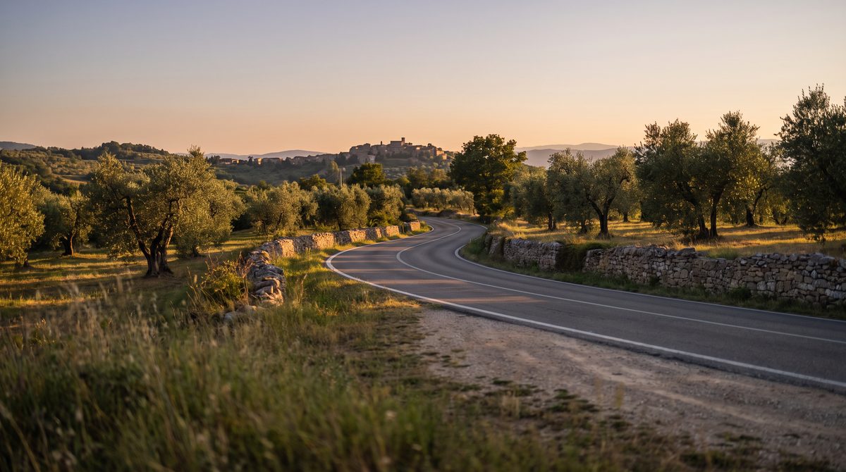 Una strada serpeggiante attraversa un uliveto illuminato dal sole al tramonto, con un borgo collinare sullo sfondo.